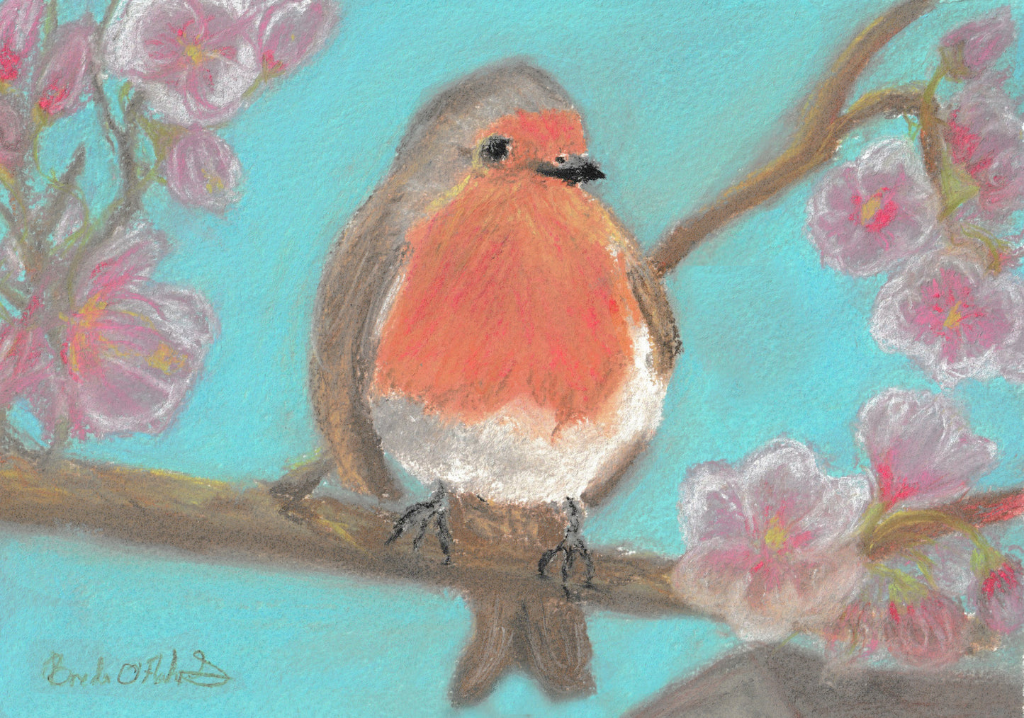Amongst the Cherry Blossoms.