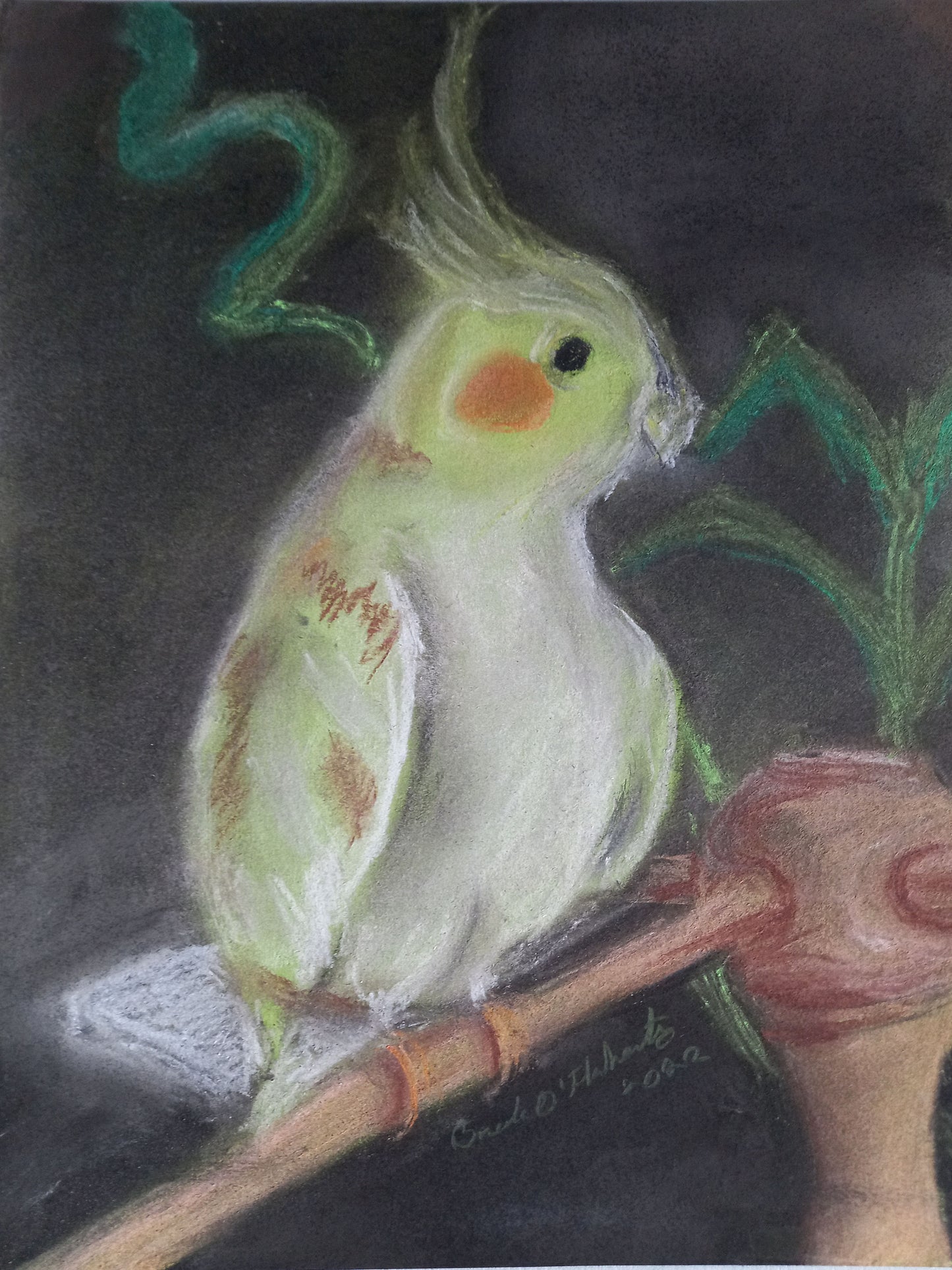 Cockatiel on a Perch Print - coming soon