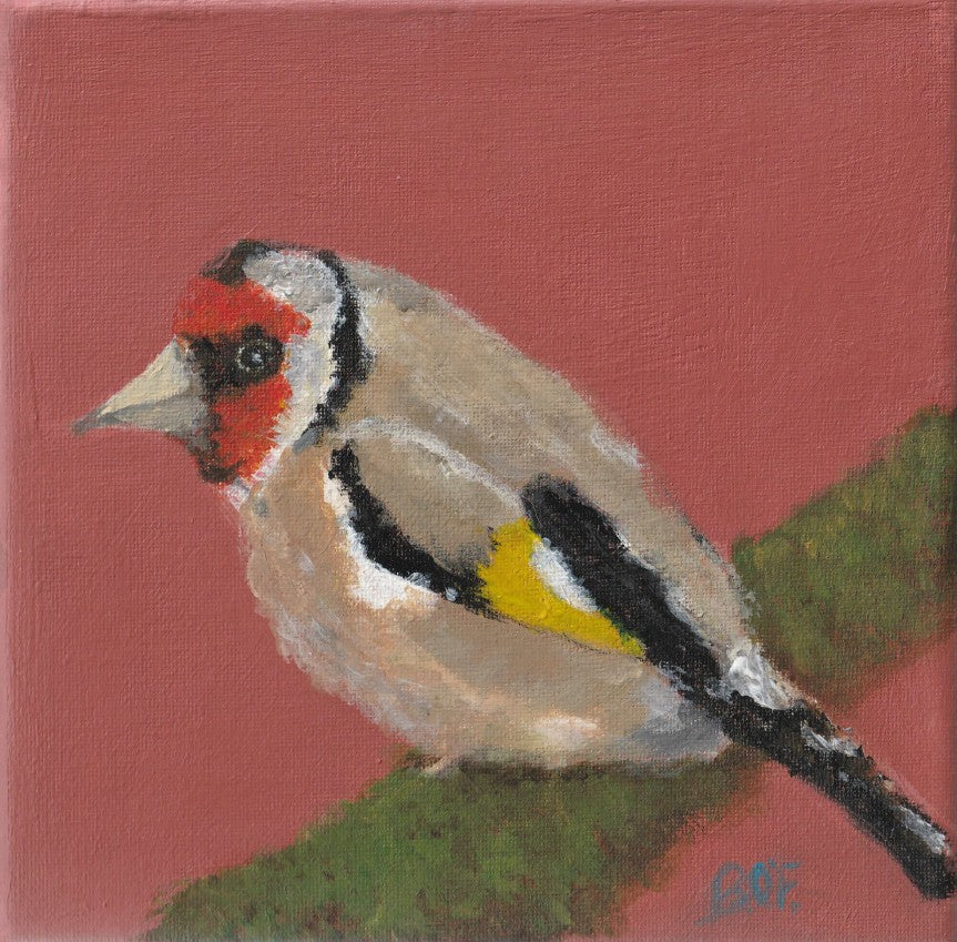 Goldfinch sitting on a moss covered branch