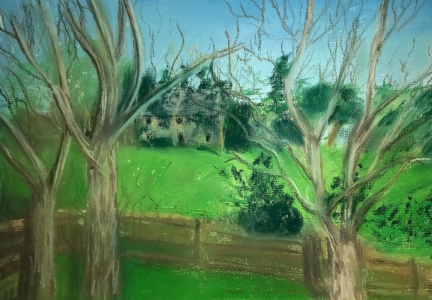 View From a Garden